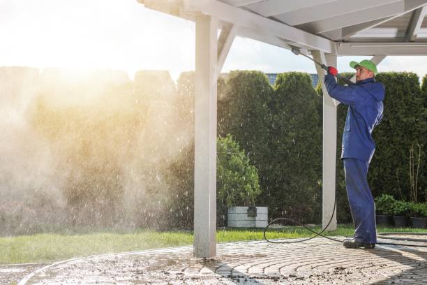 Best Driveway Pressure Washing  in Archbold, OH